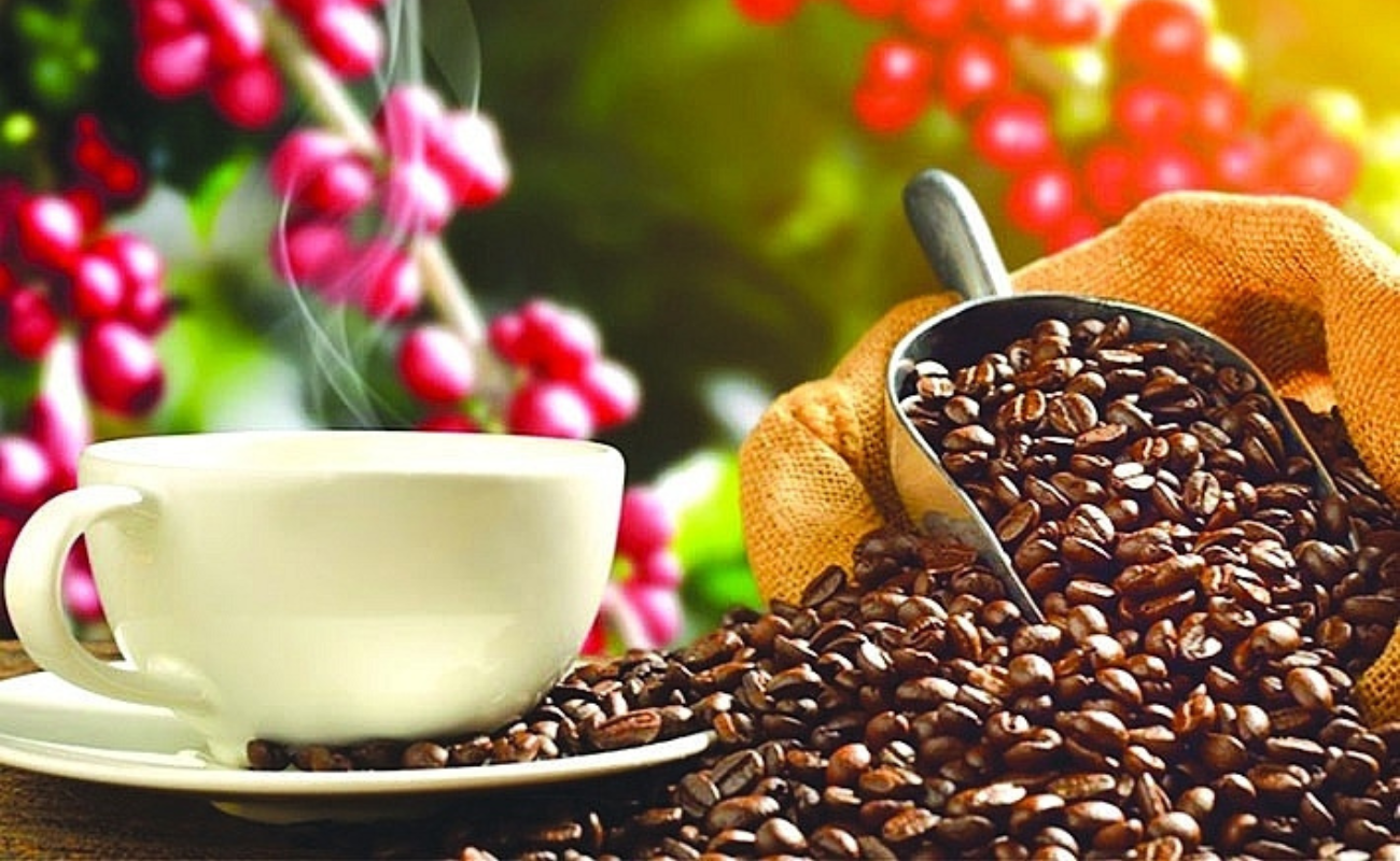 How to Import Coffee from Vietnam A StepbyStep Process